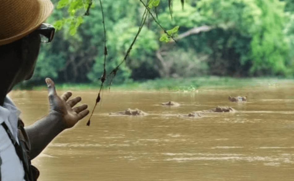 Excursion à la découverte des Hippopotames - Photo 5