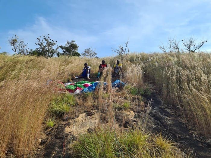 Parapente sur Korhogo - Photo 4