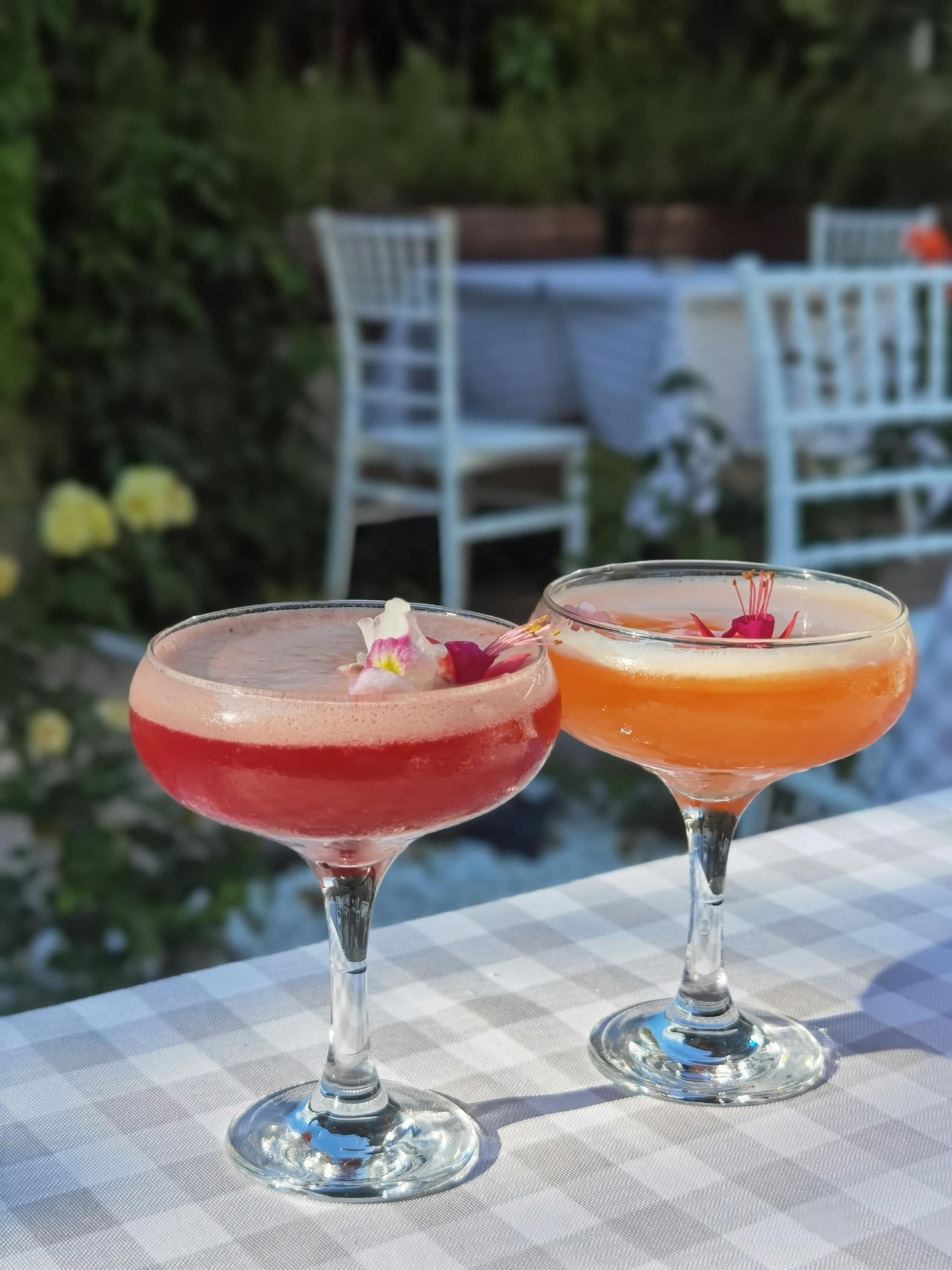 Atelier Cocktails – Mixologie – Alloco party