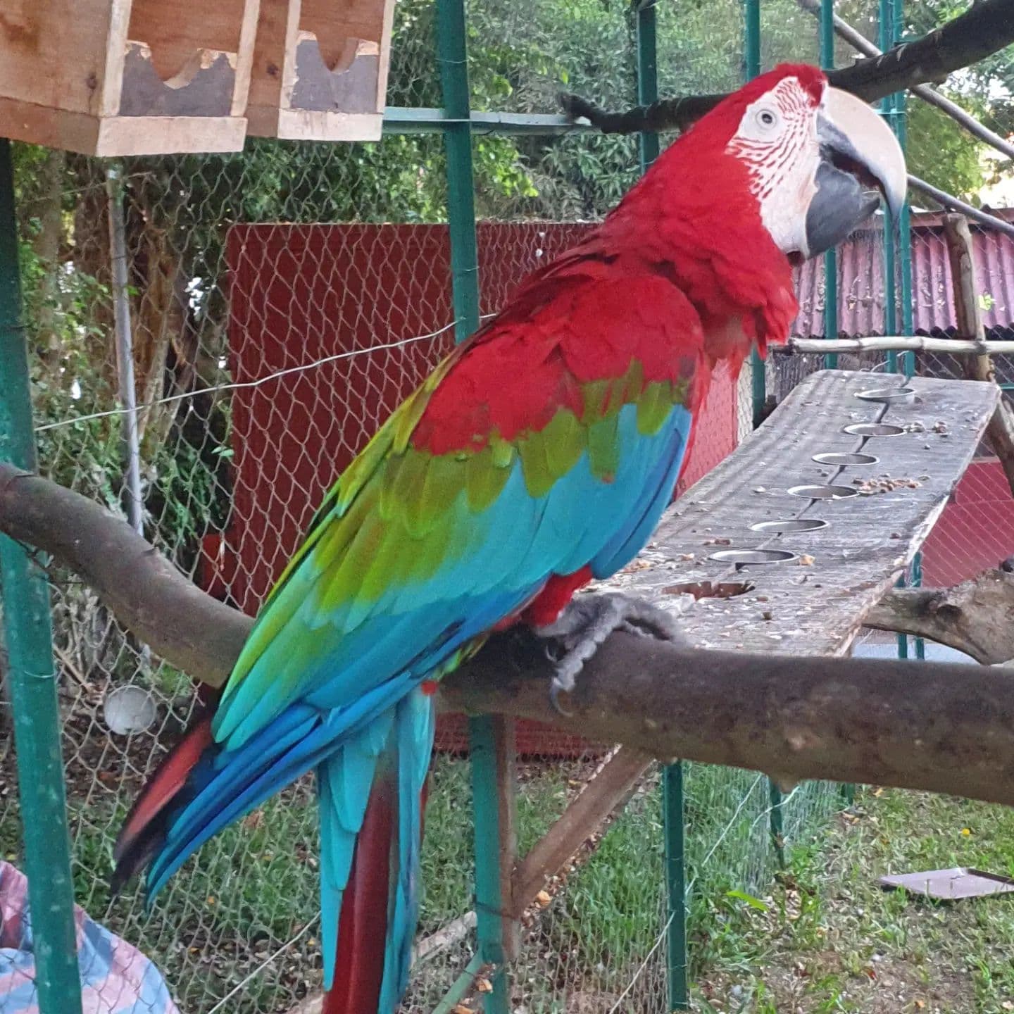 Coconut Grove Lodge - Photo 3