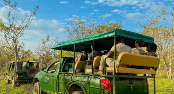 Expérience Safari au N'zi River Lodges