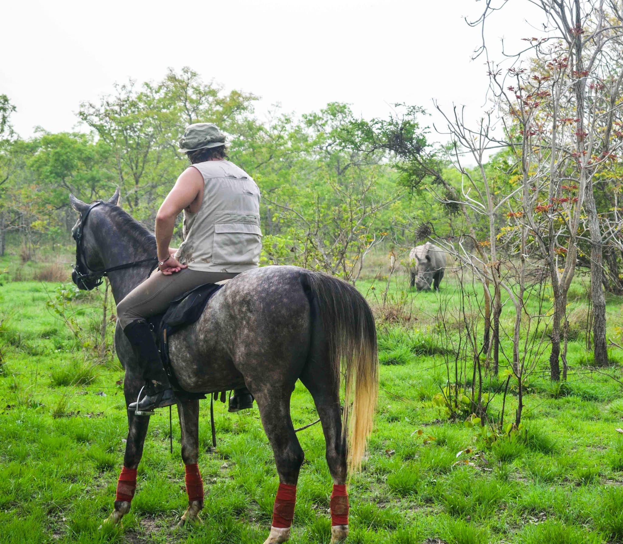 Expérience Safari Equestre