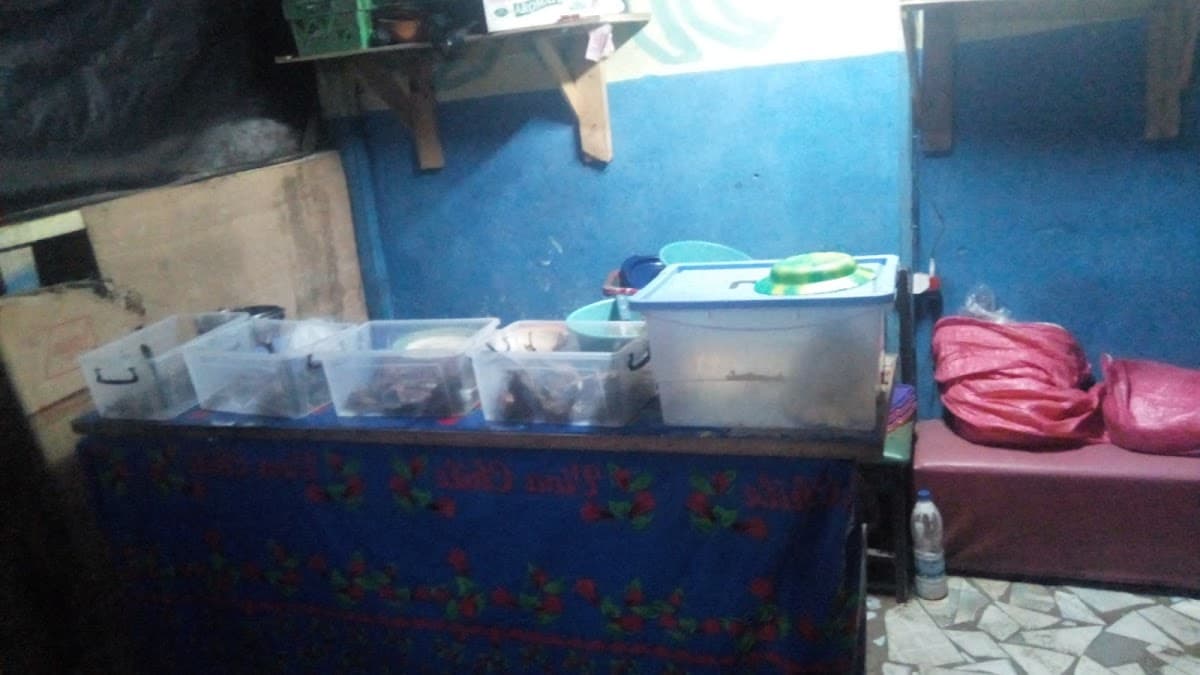 Garba Choco Du Texas(vridi-canal) - Photo 3