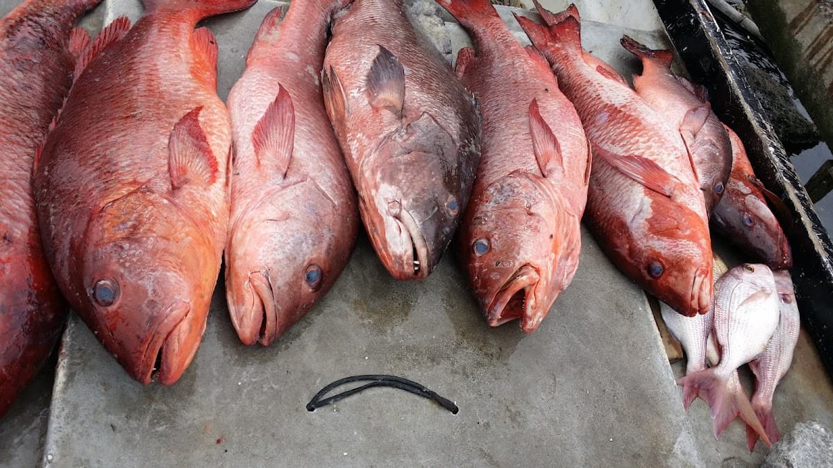 Restaurant Chez Kader - Photo 3