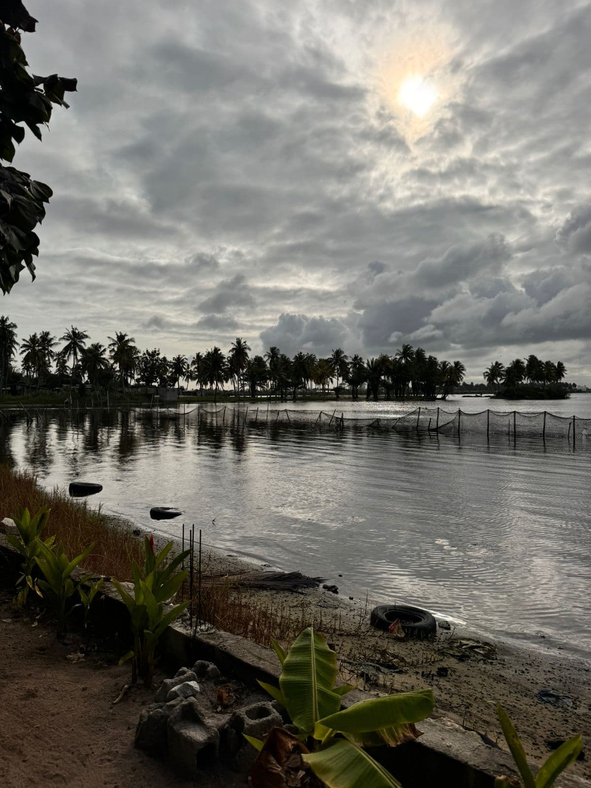La Ferme Lenoir chez Sly - Photo 3