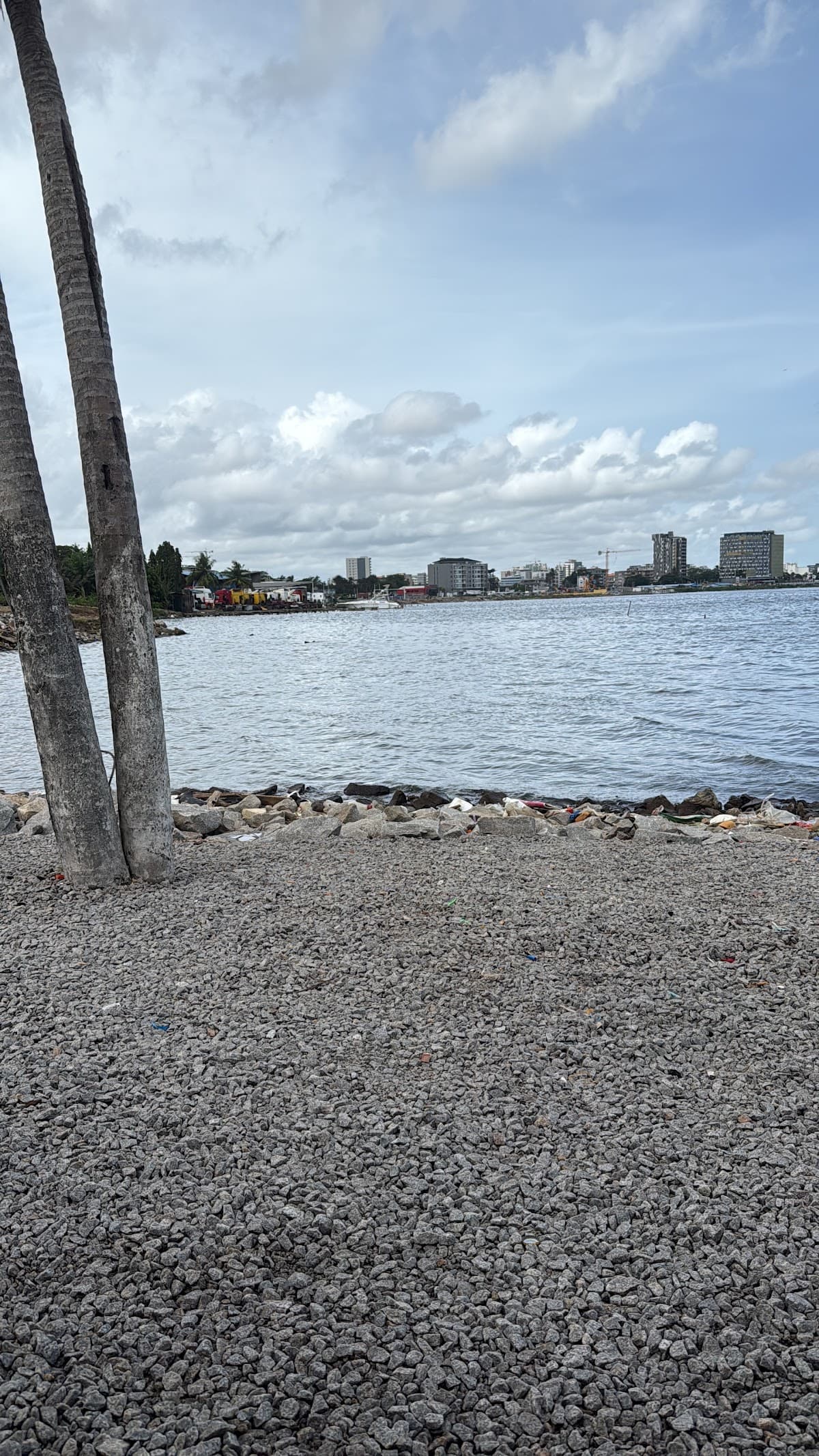 Espace Mima - Photo 2