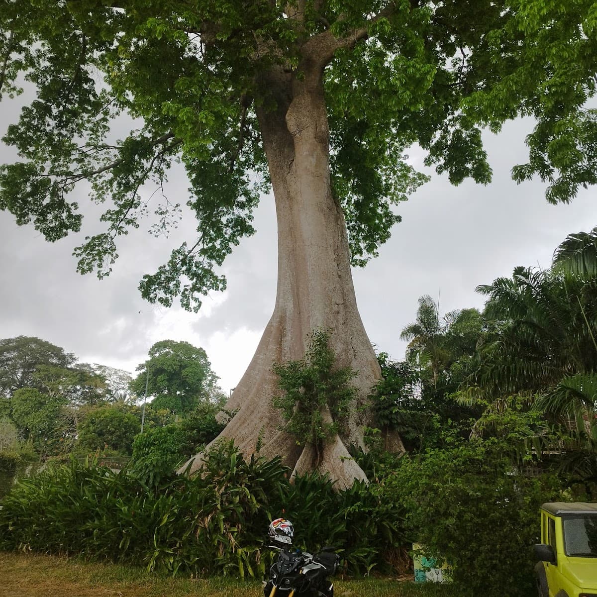 Chez François Bingerville - Photo 2
