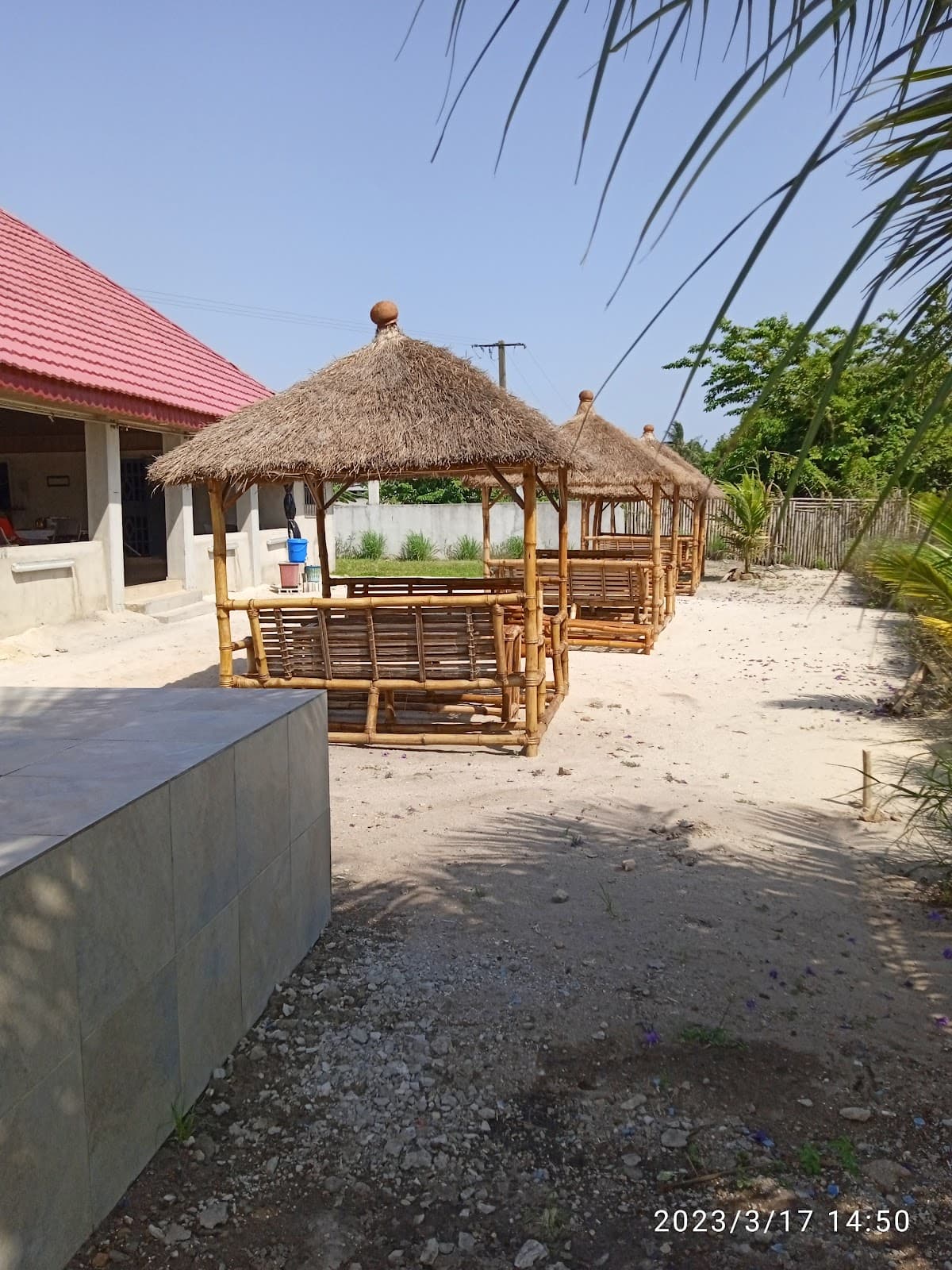 Baie des palétuviers - Photo 3