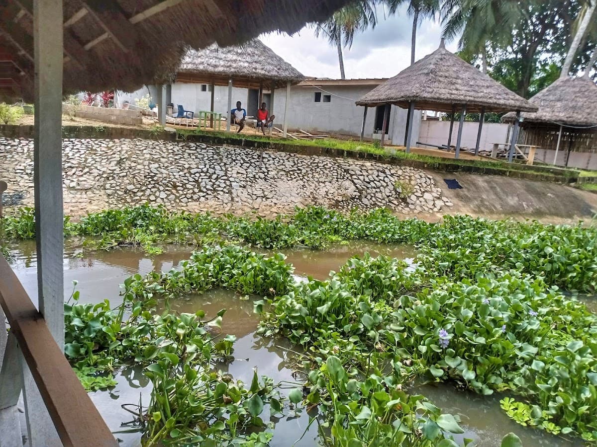 Espace Anan Lodge - Photo 3