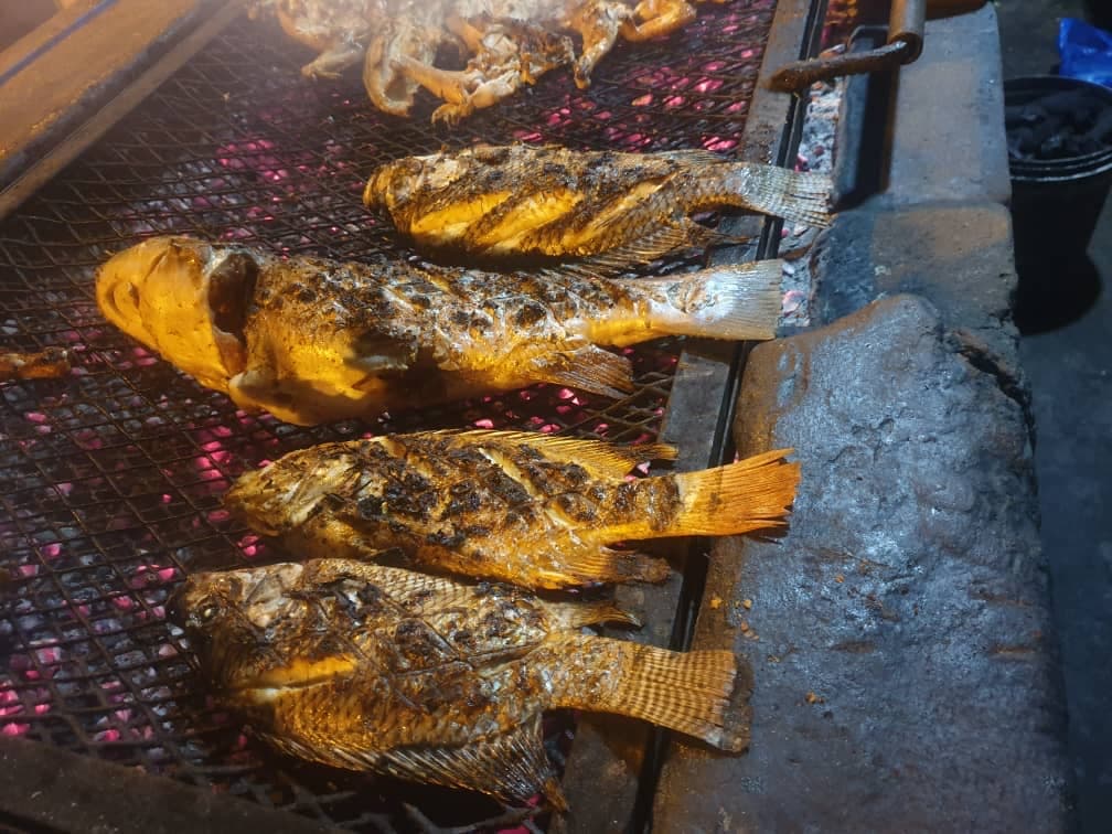 Maquis la bâche bleue