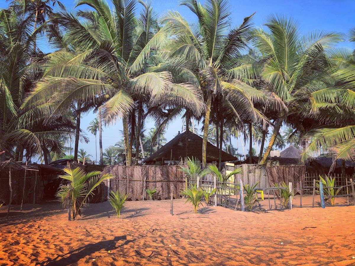 Modeste plage - Photo 3