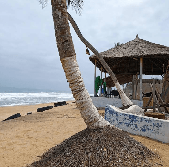 Filet bleu Grand Bassam