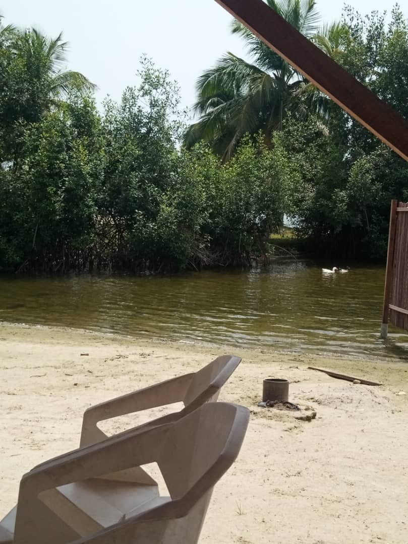 Au Large du Vent - Photo 3