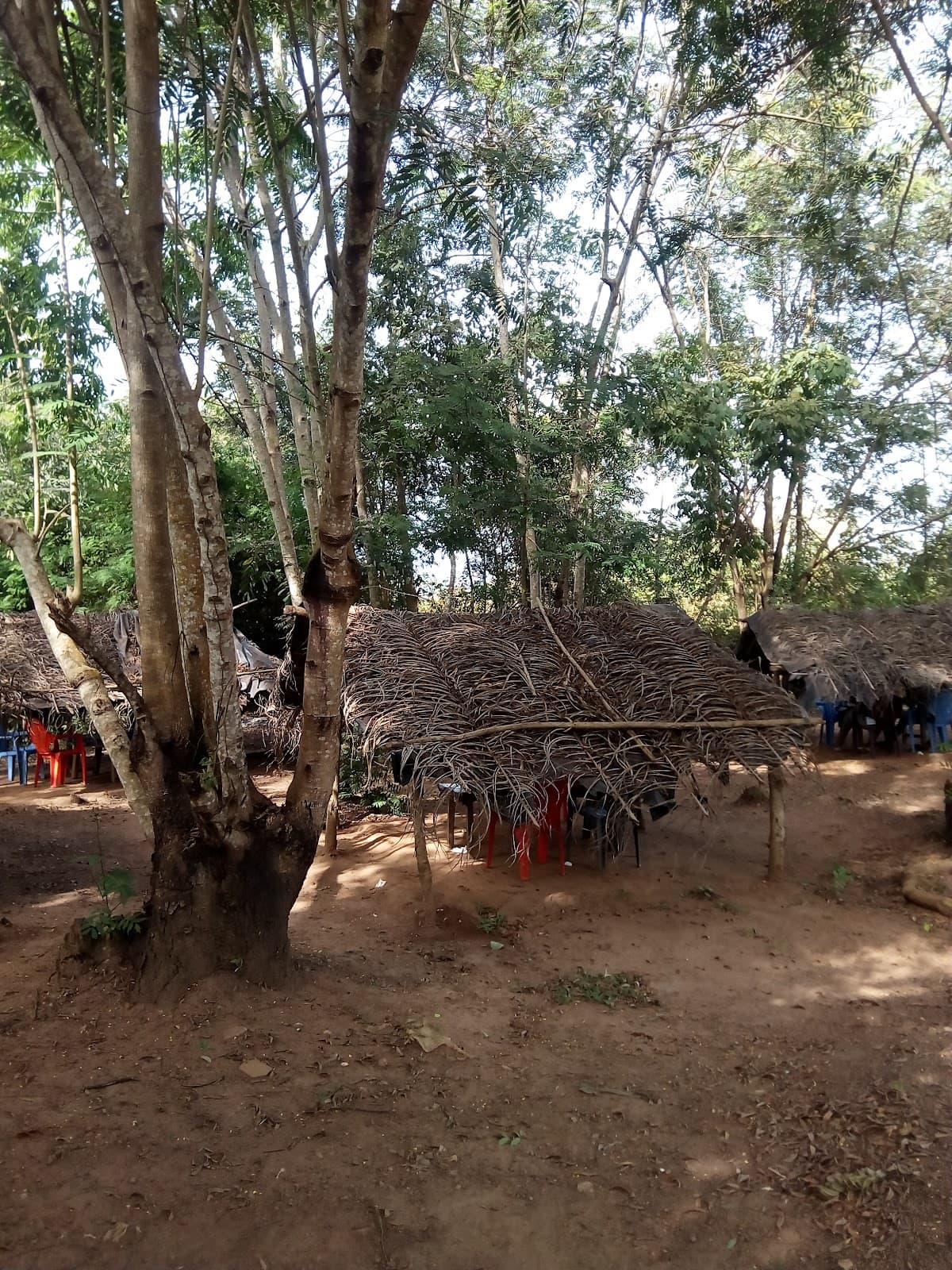 Chez Froto - Photo 2