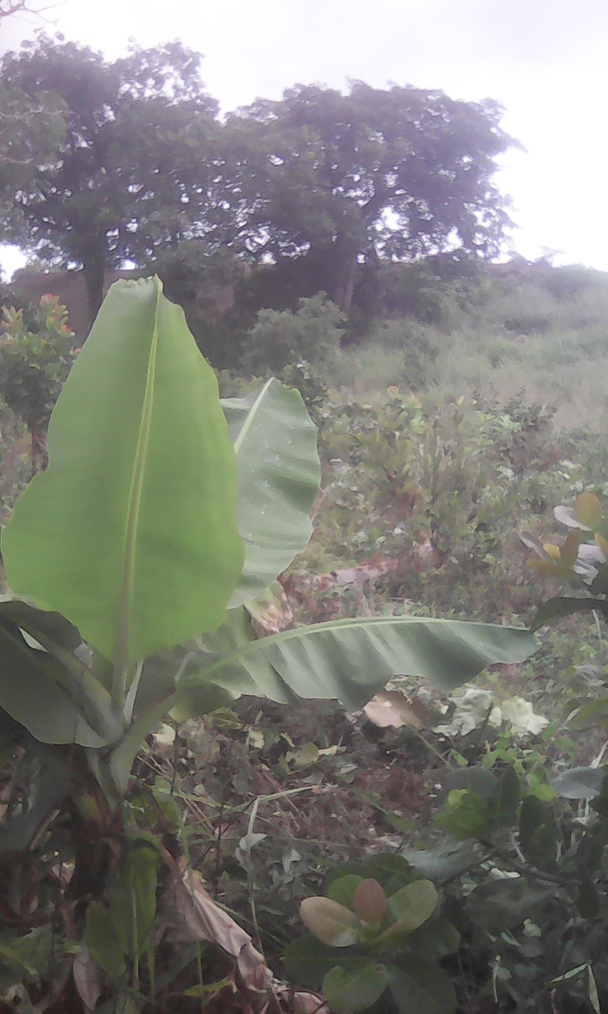 Restaurant Du BÉRÉ