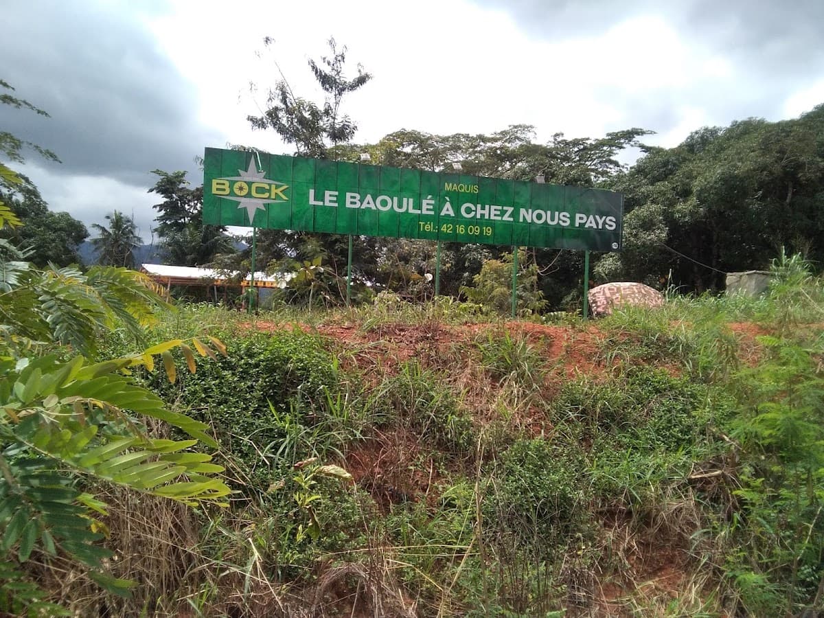 Maquis chez la femme Baoulé - Photo 2