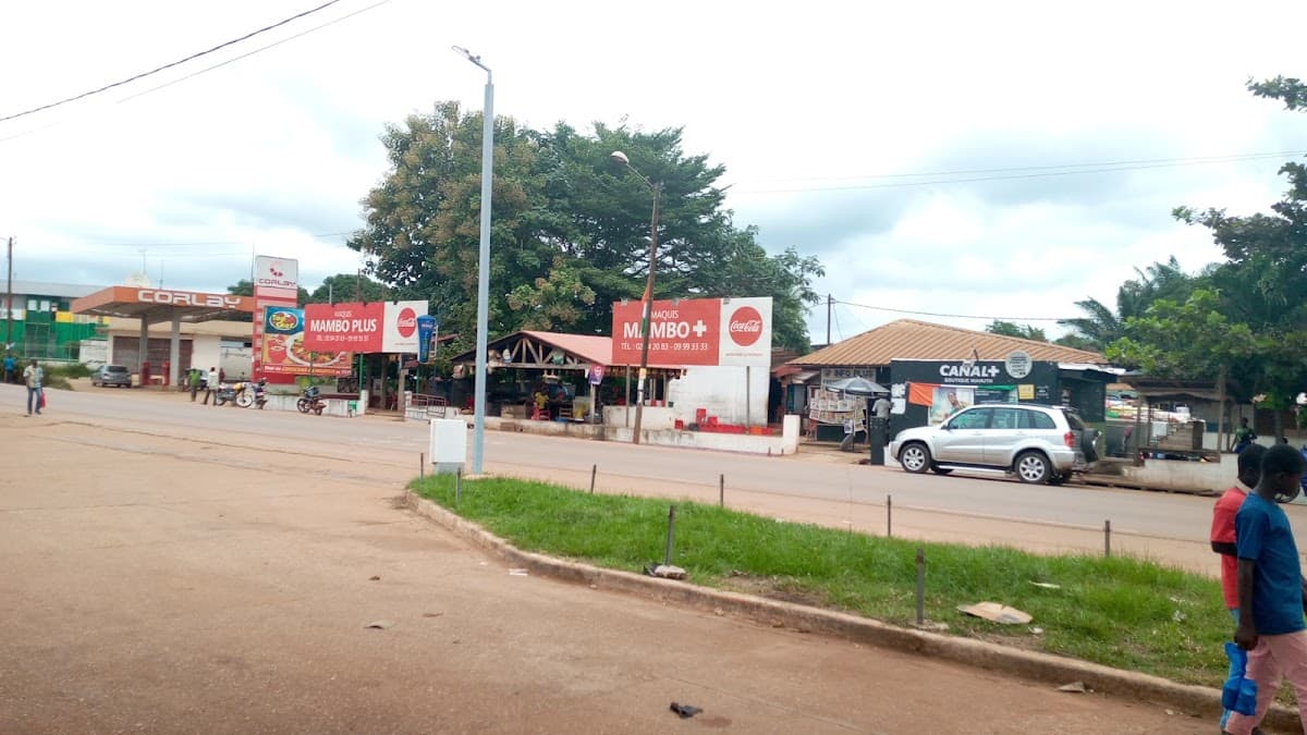 Maquis Mambo plus - Photo 2