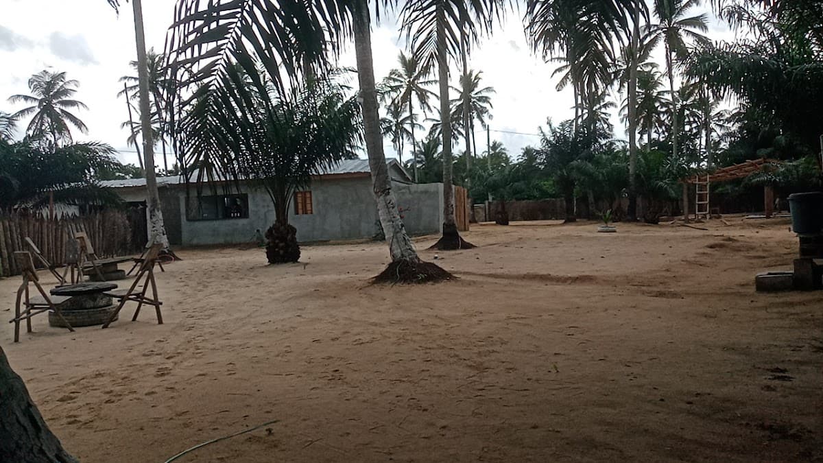 Restaurant chez Manassé - Photo 3