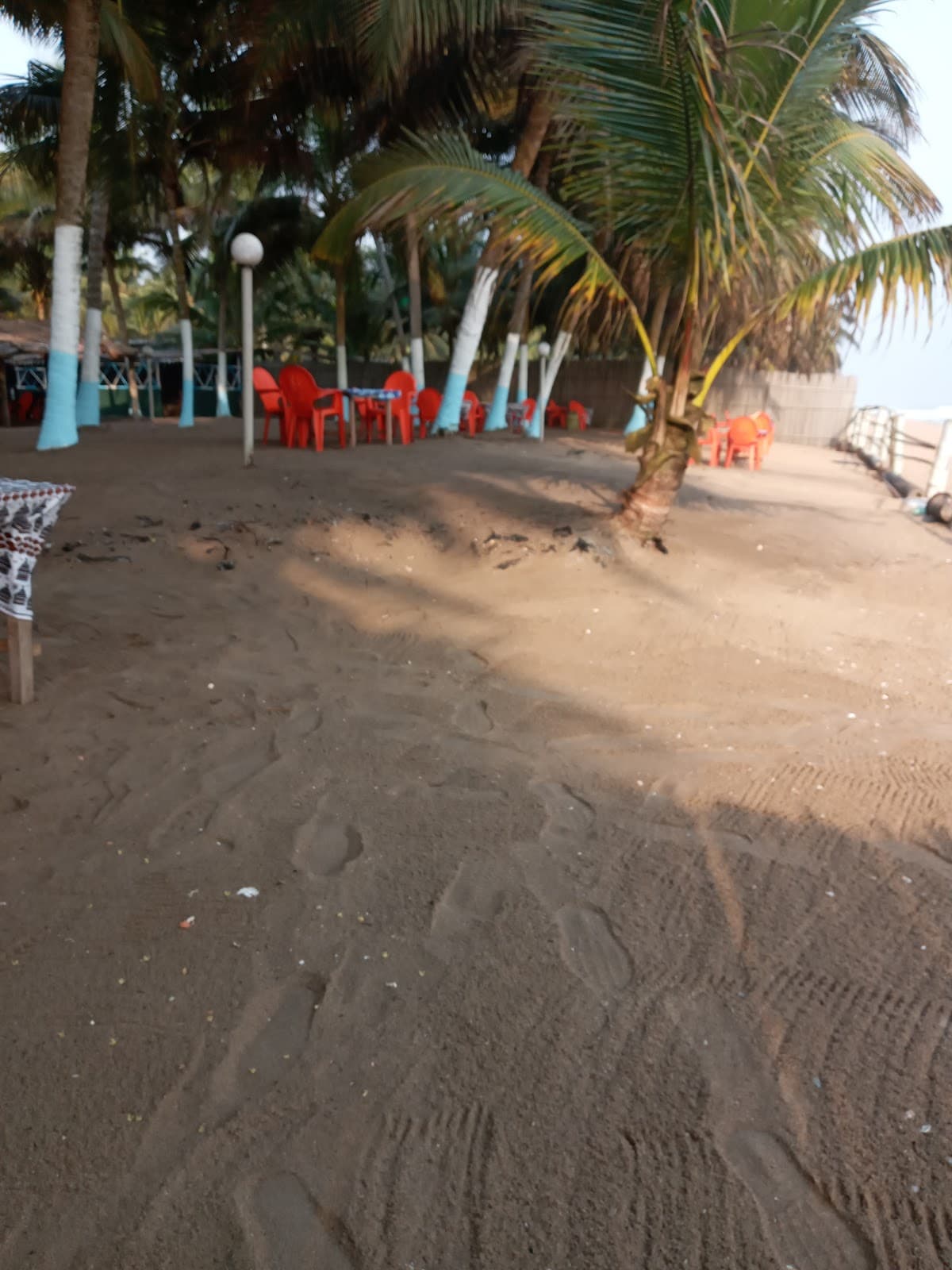 Maquis marie django - Photo 3