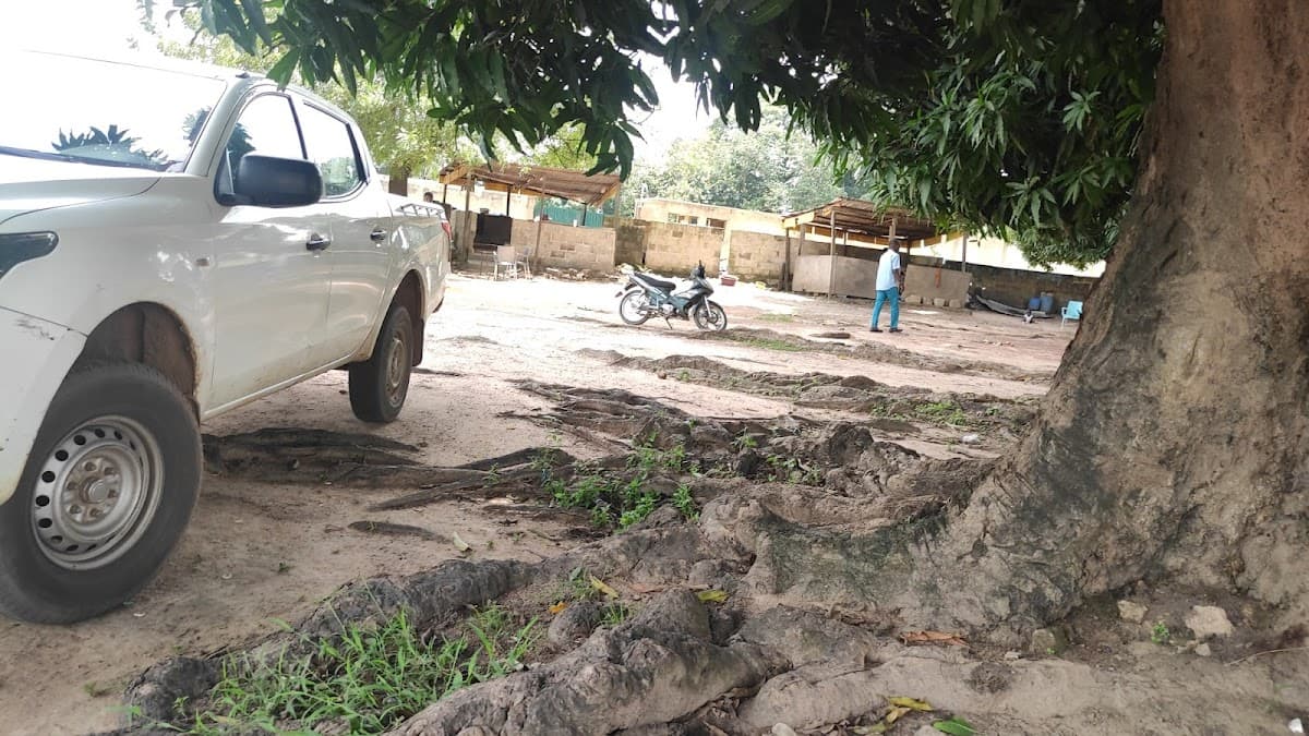 Agence IPS-CGRAE Odienné - Photo 2