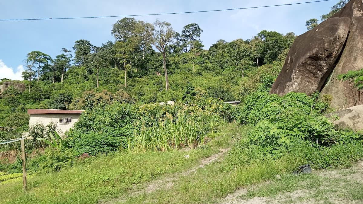 Cascade de Glongouin - Photo 2