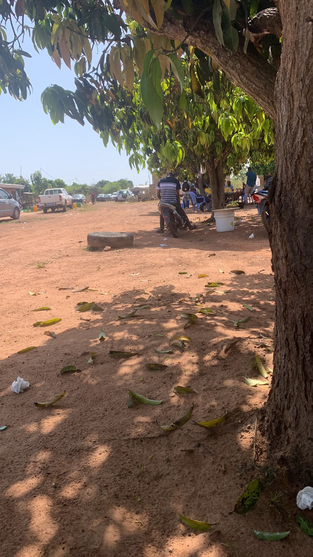 Maquis "Ni Vu - Ni Connu" / Aux petits animaux chez Moutcho